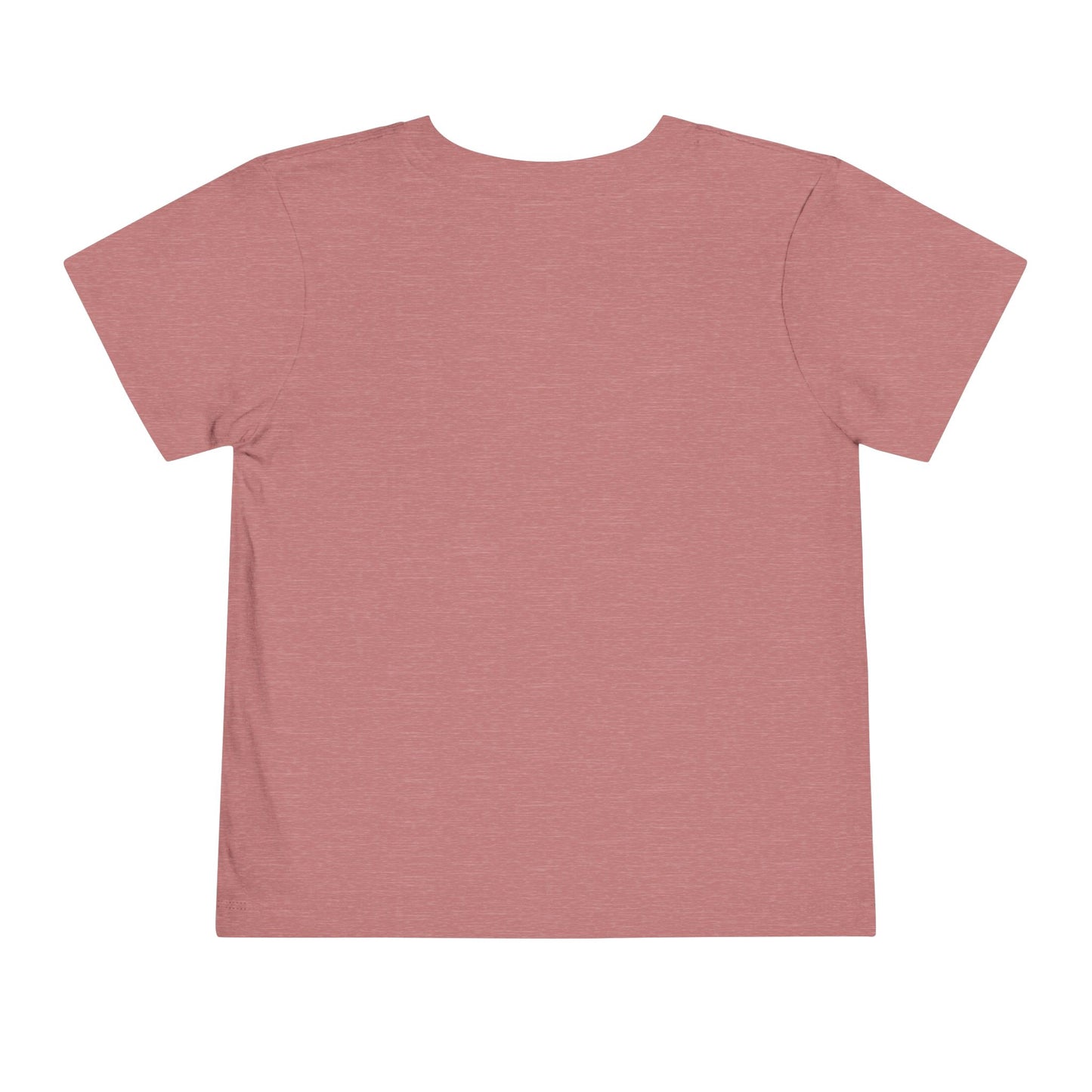 Dino School Toddler Tee — Stacking Knowledge Big Goals Bright Future