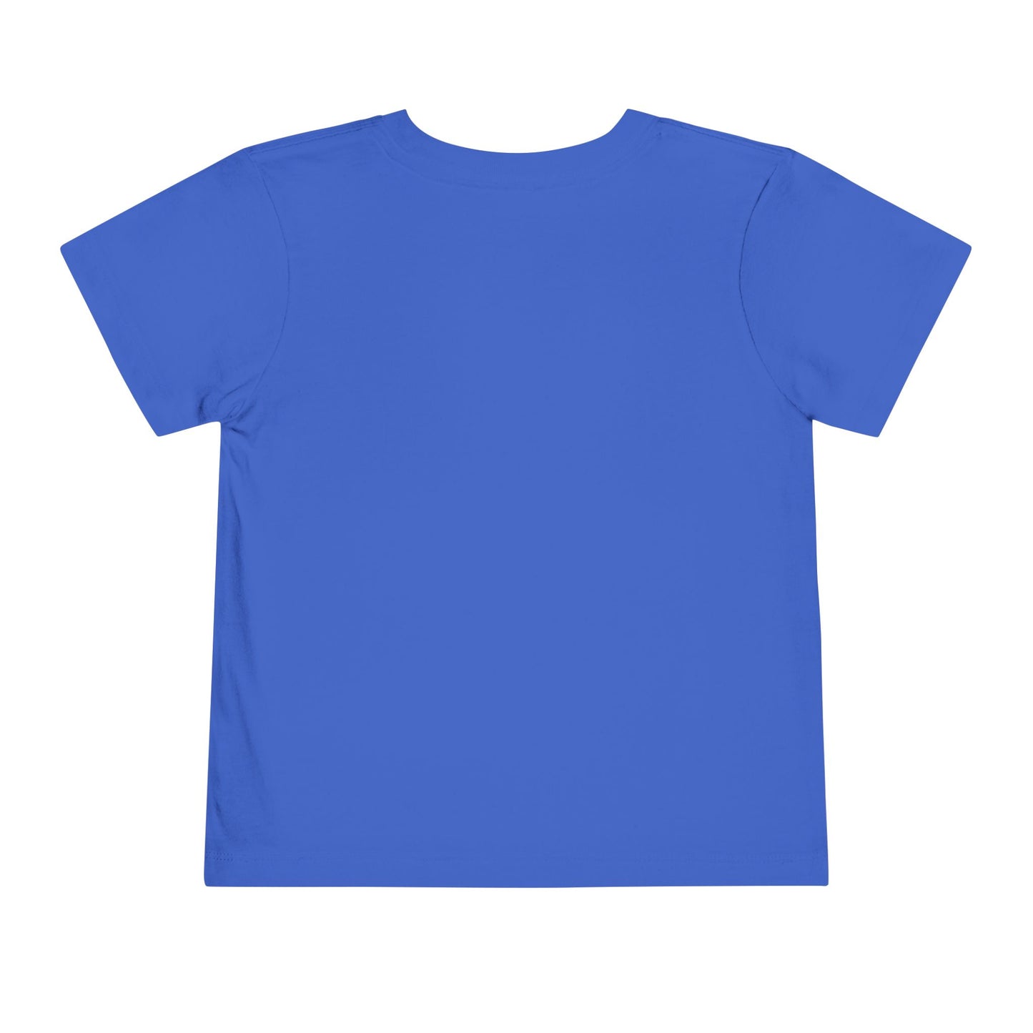 Dino School Toddler Tee — Stacking Knowledge Big Goals Bright Future