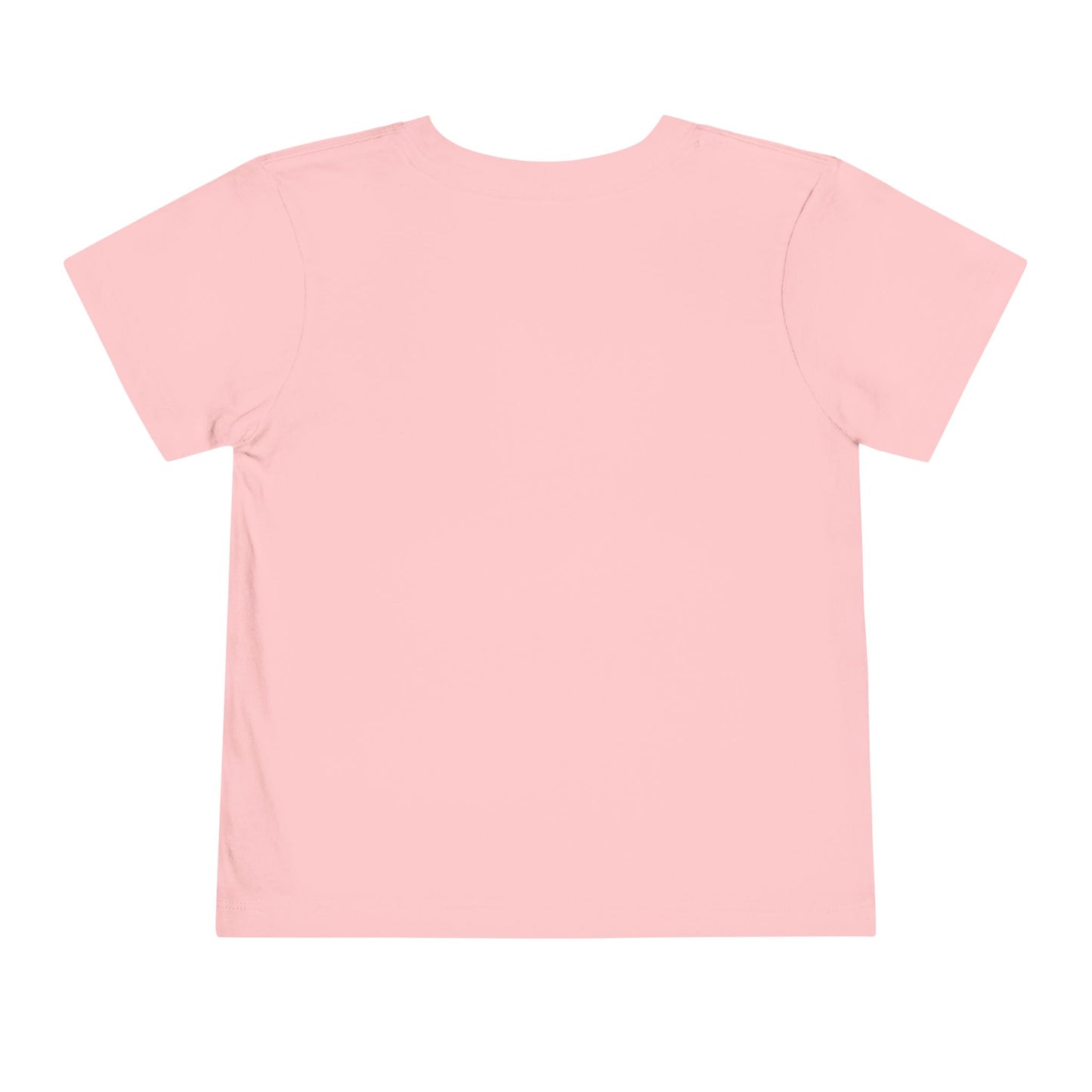 Dino School Toddler Tee — Stacking Knowledge Big Goals Bright Future