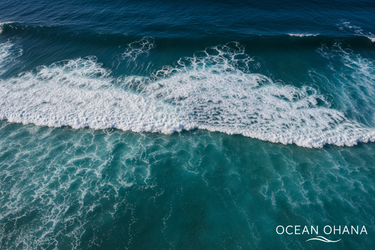 Aerial Ocean Waves